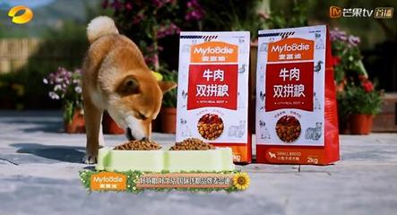 向往的生活为小H加餐 麦富迪双拼粮深得欢心的宠物食品选择