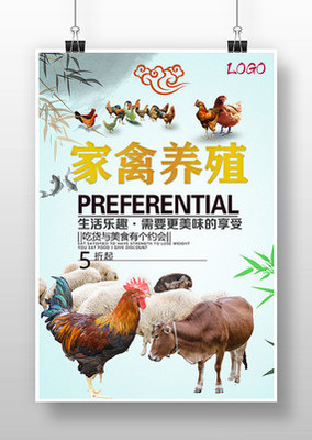 家禽养殖 开启绿色健康致富之路