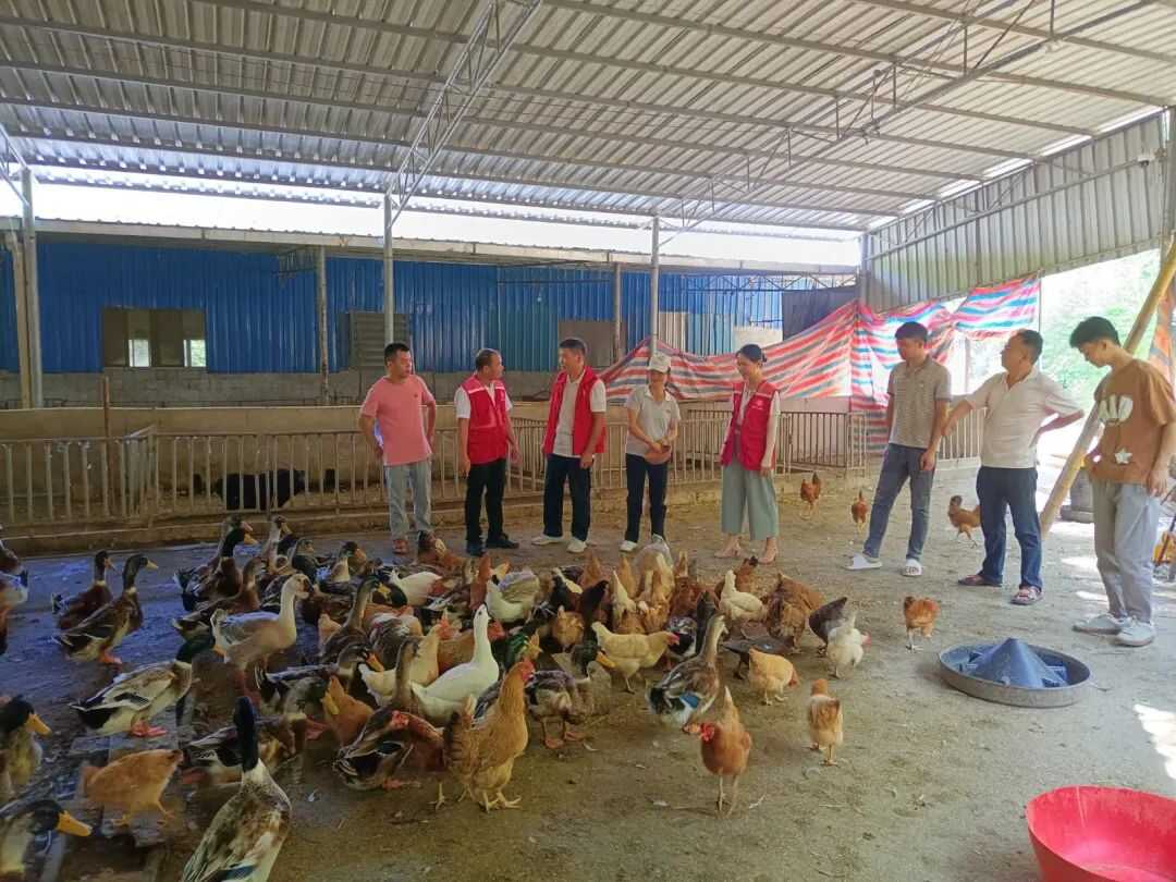 覃塘区科协成功举办农村家禽养殖技术培训班，助力家禽产业提质增效